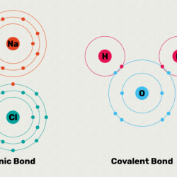 Gizmos ionic bonds answer key