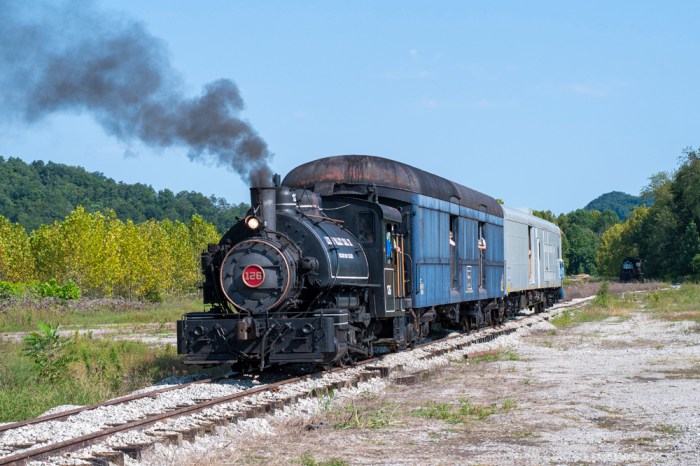 A train locomotive is pulling two cars