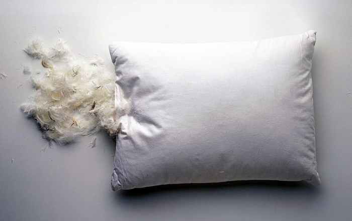 The feather pillow answer key