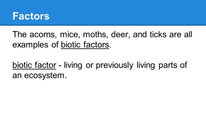 Ticks moths and acorns worksheet answers