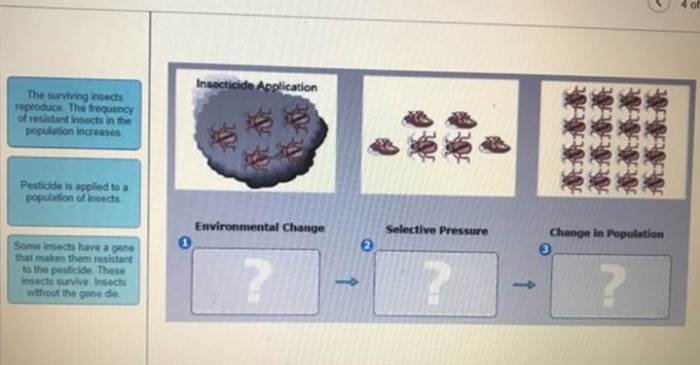 Bioflix activity mechanisms of evolution natural selection pesticides