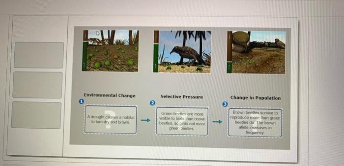 Bioflix activity mechanisms of evolution natural selection pesticides